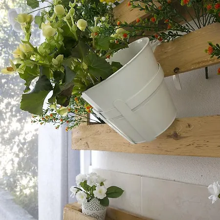 Charming Trindade Apartament *